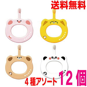 y12{[֑zCixr[ uV (S炩) tbg 12@FE4ޑS̃A\[g@CifBJ@