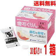 【期間限定】【1箱 メール便送料無料】フィジオクリーン 歯石くりん　錠剤 義歯洗浄剤30錠ニッシン