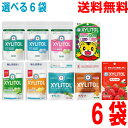 其他口腔用品｜歯科専用キシリトールガムラミチャック 35gアップルミントマスカットクリアミ…