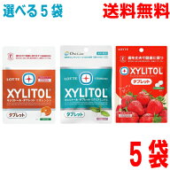【選べる5袋　メール便送料無料】ロッテ　キシリトールタブレット歯科専用クリアミント味　オレンジ味　…