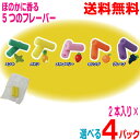 其他口腔用品｜デュライナーチューイー 4パック（1パック2本入り）合計8本 ミント・パ…