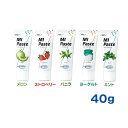 ジーシーMI Pasteエムアイ ペースト40g GC
