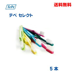 y[֑zey@TePeZNguV@5{NXtB[h