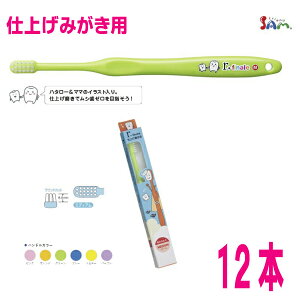 y[240~OKzTthuVA[V[YA[EtBi[12{dグp17^tg