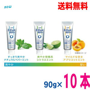 【期間限定】【本州送料無料】ブリリアントモアダブル90g×10本北海道・四国・九州行きは追加送料220円かかります。ナチュラルペパーミント シトラスミント アプリコットミント ブリリアン