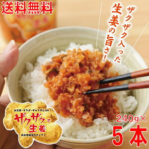 【本州 5本 送料無料】ザクザクで生姜 240g×5本 瓶入り北海道・四国・九州行きは追加送料220円かかります。マルシンフーズ