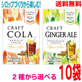 【選べる10袋 メール便送料無料】クラフトコーラスパイスミックス　クラフトジンジャーエールスパイスミックス　35g×10袋ハチ食品ken