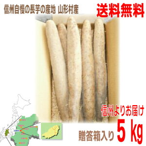 y2025.11{@1\tzy{BzMBR`Y@삳񂿂̂Ȃ@p2LE3L@4`5{x5kg蒷@@RkCElEB͑220