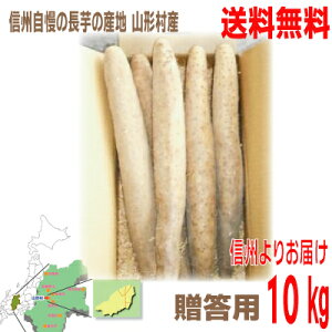 y2025N11{`@1\tzy{BzMBR`YȂ@@p@2LE3LE4L@@6`10{x10kg͐BkCElE