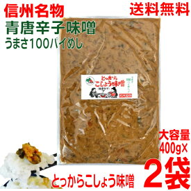 【メール便送料無料】【信州名物】とっからこしょうみそ得用袋　400g×2袋　（合計800g）マルシンフーズ青唐辛子味噌青とうがらし味噌青とうがらしみそ野口屋漬物