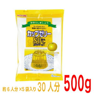 Jbv[[80@O[vt[c@Ăς100g×5܁@500g@V[[̑f@