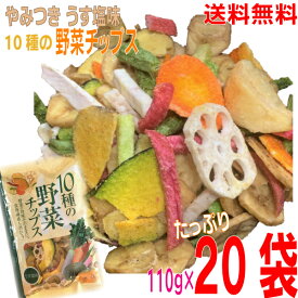 【本州 20袋 送料無料】10種の野菜チップス　110g×20袋(1ケース）　味源　マルシン北海道、九州、四国行は別途送料220円掛かります。