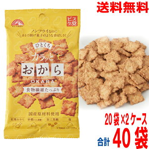 【2ケース本州送料無料】ひとくち カラッとおから 38g×20袋×2ケース 合計40袋 ノンフライなのにまるで揚げ菓子のような香ばしさ あたり前田のクラッカーでおなじみ前田製菓 北海道