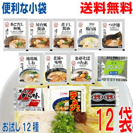 【お試し12種 メール便送料無料】ラーメンスープ 便利な小袋　お試し12種 各1袋　フルラインアップ 業務用 市販 メール便 ラーメンスープのみ ラーメンスープの素 お試しセット 詰め合わせ 食べ比べ 調味料 中華 ソロキャンプあみ印 ISK