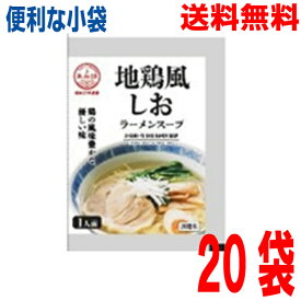 【20袋メール便送料無料】小袋　地鶏風塩ラーメンスープ 　20袋塩ラーメンスープの素 調味料 おうちごはん 中華 ソロキャンプあみ印 ISK