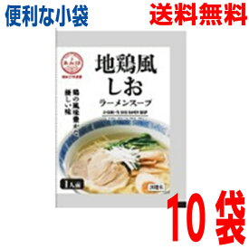 【10袋メール便送料無料】小袋　地鶏風塩ラーメンスープ 　10袋塩ラーメンスープの素 調味料 おうちごはん 中華 ソロキャンプあみ印 ISK