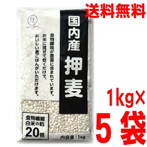 y5ܖ{BzY@1kg×5܁@v5kgHi@kCElEBs͒ǉ220~܂isk