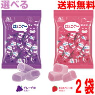 【選べる2袋メール便送料無料】はにぐー　ノンシュガーチューイングキャンディ　48g（標準16粒入り）グレ…
