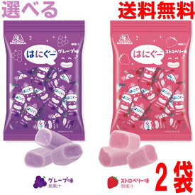【選べる2袋メール便送料無料】はにぐー　ノンシュガーチューイングキャンディ　48g（標準16粒入り）グレープ味・ストロベリー味　森永製菓　ハイチュウの技術を使ったノンシュガー仕立てののチューイングキャンディ