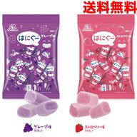 【選べる1袋メール便送料無料】はにぐー　ノンシュガーチューイングキャンディ　48g（標準16粒入り）グレ…