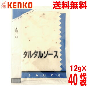 y40 [֑z֗ȏ܁@^^\[X@12g×40܁@Ɩp@PR[}l[Y@ ISK