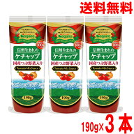 【3本 本州送料無料】ナガノトマト　信州生まれのケチャップ　国産つぶ野菜入り　190g×3本北海道・四国…