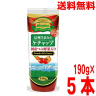 【5本 本州送料無料】ナガノトマト　信州生まれのケチャップ　国産つぶ野菜入り　190g×5本北海道・四国…