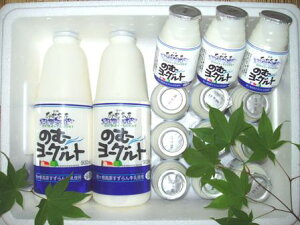 MBnEX̂ރ[OgMtgZbg900ml×2{150ml×12{N[֔IIރ[OgN[փTCY15L