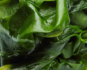 r^~Ё@ⓀOYۍ̂킩1kg`bNt܃N[ցiⓀjɂĔP