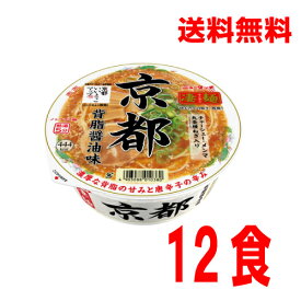 【本州のみ送料無料】ニュータッチ凄麺 京都背脂醤油味124g×12個北海道・四国・九州行きは追加送料220円かかります。2ケースまで同梱可能です。