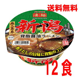 【本州のみ送料無料】ニュータッチ凄麺 新潟背脂醤油ラーメン124g×12個北海道・四国・九州行きは追加送料220円かかります。2ケースまで同梱可能です。
