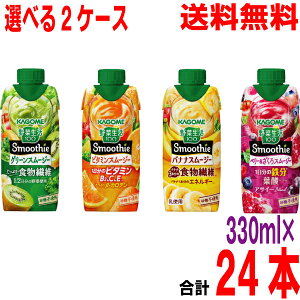 yIׂ2P[X24{ {Bzؐ100 Smoothie@O[X[W[Er^~X[W[EoiiX[W[Ex[X[W[@330ml×12{×2P[X@v24{@kCE