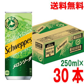 【1ケース本州送料無料】シュウェップスメロンソーダ　250ml 缶 30本入り　 コカ・コーラ　北海道・四国・九州行きは追加送料220円かかります。
