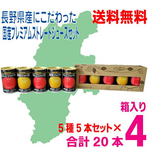 y4Zbg{BzS[hpbN쌧YɂYv~AEXg[gW[XIWiZbgSJ|5PMAXg[gʏ`×3{Ea×2{i25{Zbgj×4160g