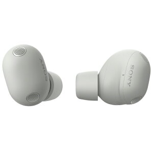 �y�ԕiOK!�����t�z�\�j�[ ���S���C�����X�C���z�� WF-1000XM6-S �v���`�i�V���o�[ SONY ���C�����X�m�C�Y�L�����Z�����O�X�e���I�w�b�h�Z�b�g �n�C���]�������� �O����荞�� SBC AAC LDAC LC3�yKK9N0D