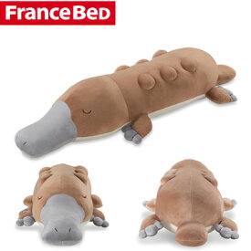 【返品OK!条件付】フランスベッド バイブレーター内蔵！ブルブル抱き枕 カモシーくん 36088000【KK9N0D18P】【120サイズ】
