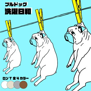 y TISi zemon / T / a uhbO /  O TVc bull dog uhbN uq BUHI