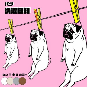 y TISi zemon / T / a pO / pug pOT  O TVc ObY BUHI @؂ G v[g a