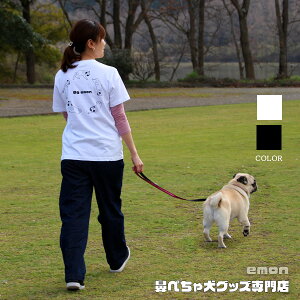 emon / pO TVc / ]pO / G ObY X CXg     ybg  D 킢 v[g lC fUC w I pug v[g   n 