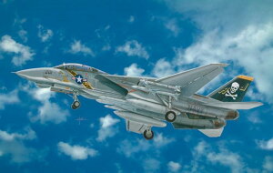 C^ vf AJR 퓬@ F-14A gLbg 1/48 C^A
