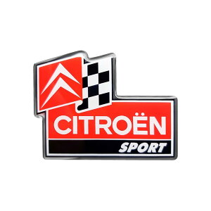 VgG CITROEN X|[c 3D `FXtbO XebJ[ 50 x 66 mm