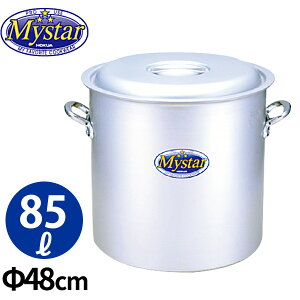 A~}CX^[  48cm_Ɩp _AB0547