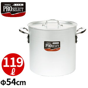 vZNg ڐtA~ 54cm_Ɩp _AC5821