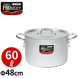 vZNg ڐtA~ 48cm_Ɩp _AC5833