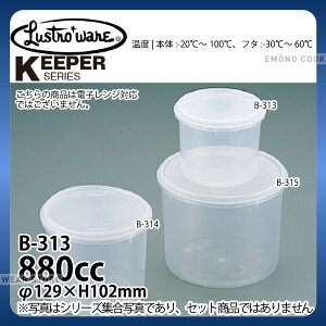 Xg ۃL[p[ B-313N_pbNP[X Rei ۑe vX`bN V[e V[XgbJ[ _AB3489