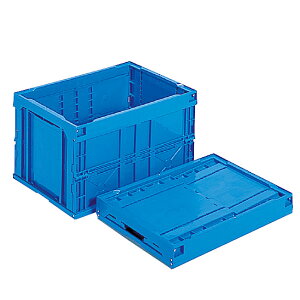 ܂肽݃Rei[ u[ 50B_Rei ܂肽 Ɩp _AB3751