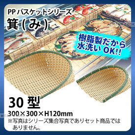 PP箕 DP-300-BB(30型)_箕ざる 箕ザル プラスチック 竹モデル 竹ざる風 水洗いOK _AC6779