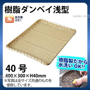 �����_���x�C��^(��) 91-040A(40��)_���� �J�S �v���X�`�b�N �|���f�� ����OK _AC6802