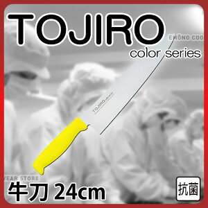 gEWE J[  F-147Y CG[_24cm Y _AB6442