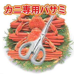 VL[JjpoT~ XeX KUS210_Jj΂ JjoT~ I΂ IoT~ _ [ 䂤pPbg Ή _AC0683